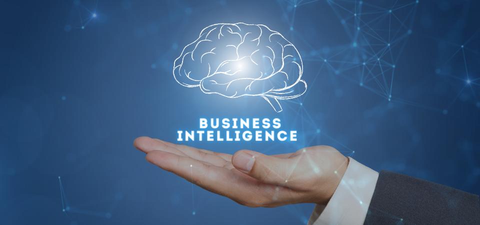 Business intelligence and ERP