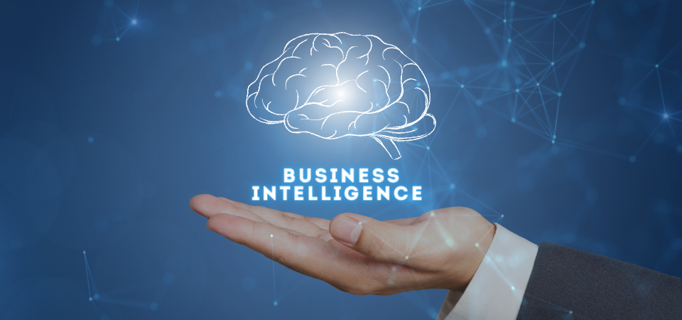 Business intelligence and erp